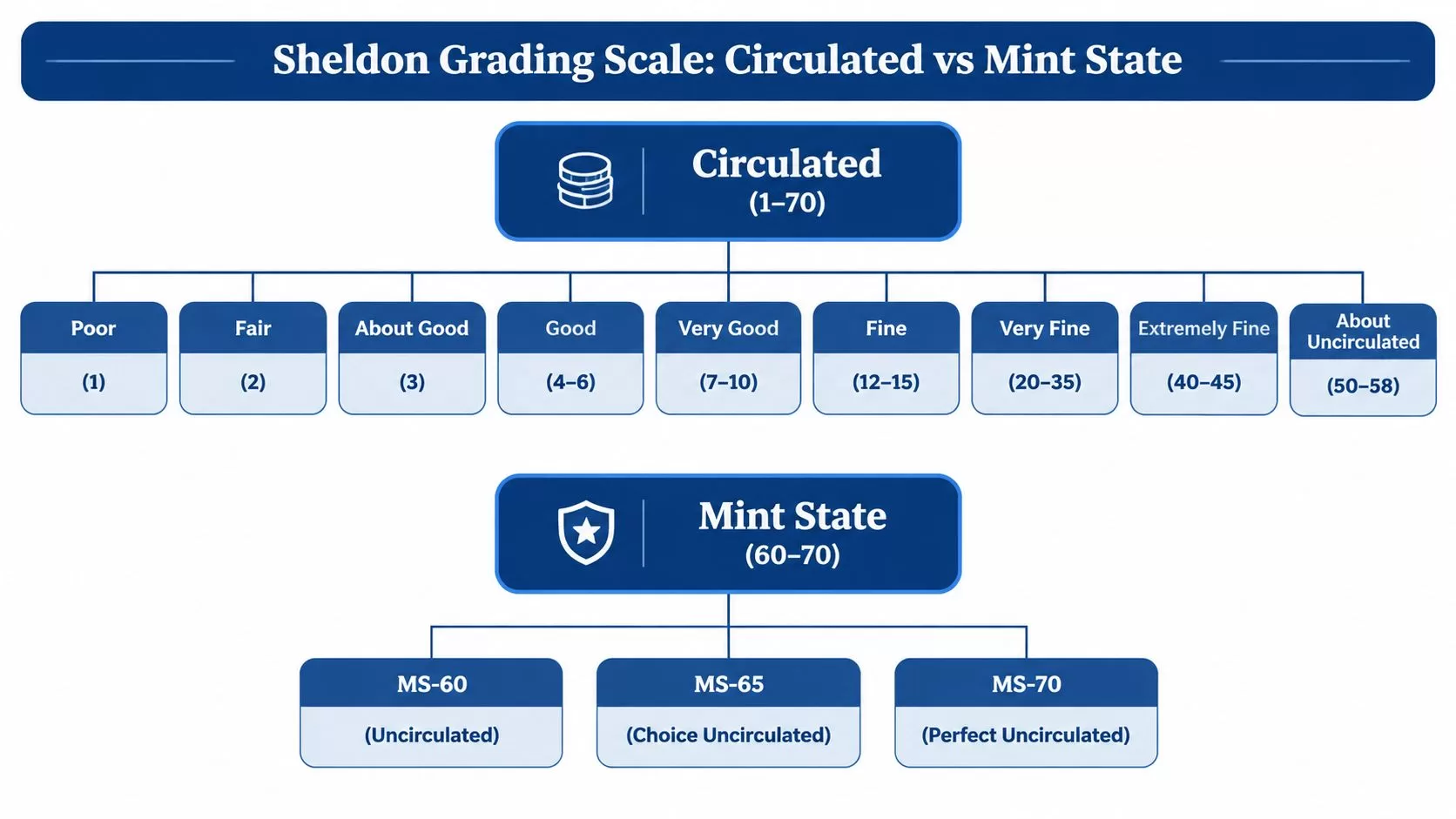 A diagram illustrating the Sheldon grading scale for coins, distinguishing between circulated and mint state categories.